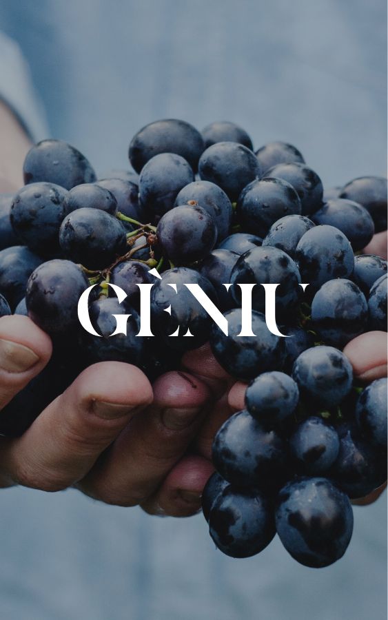 Projet branding Vins Geniu